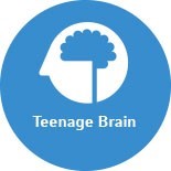 Teenage brain